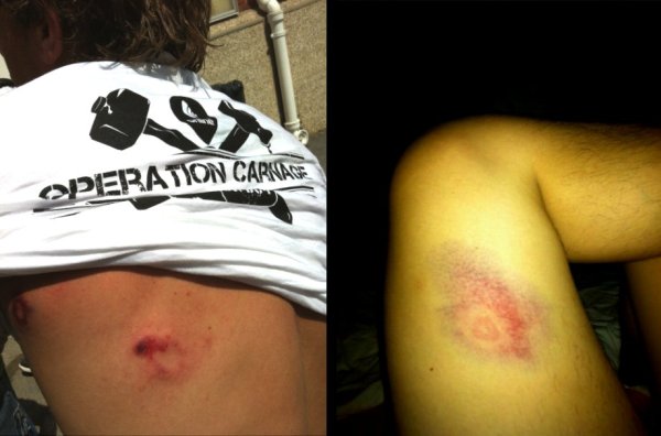 paintball operation carnage - bleus