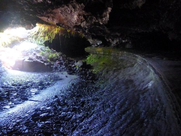Tunnel de lave _ La Réunion - Acces
