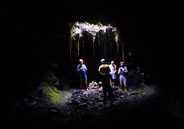 Tunnel de lave _ La Réunion - Puits de lumiere