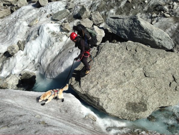 Mer de glace le retour - chien chaussons