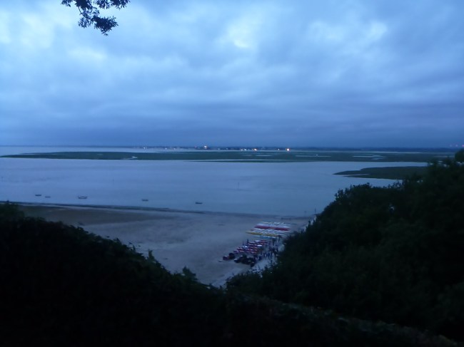 phoques baie de somme - la base des pirogues