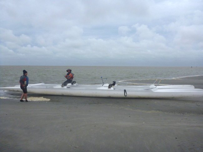 phoques baie de somme - la pirogue