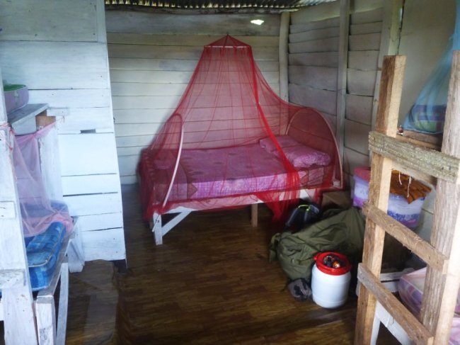 Ma cabane grand luxe au Campamento Jaguar