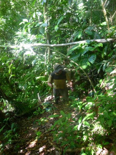 Miguel sur le layon (sentier) qu'on trace