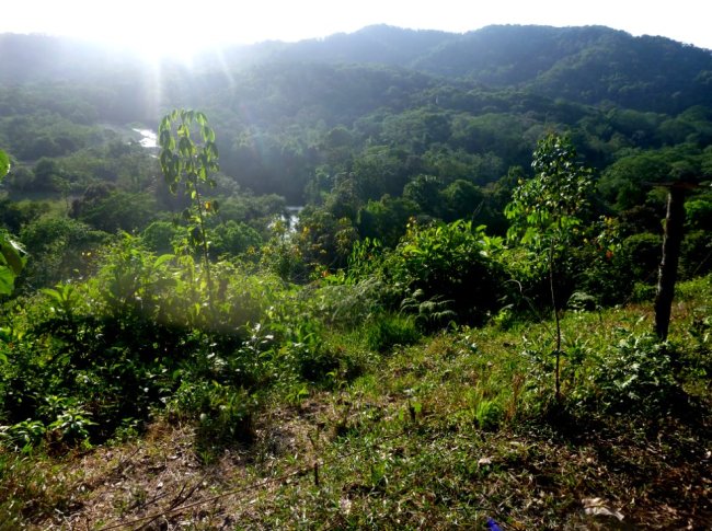La vue sur le Rio Piedras, dans la jungle au Panama