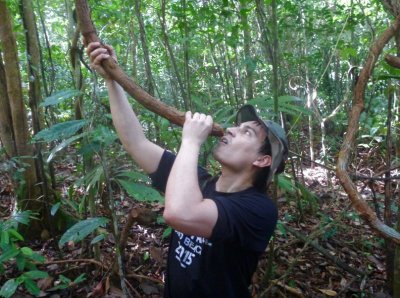 En train de boire le jus de liane